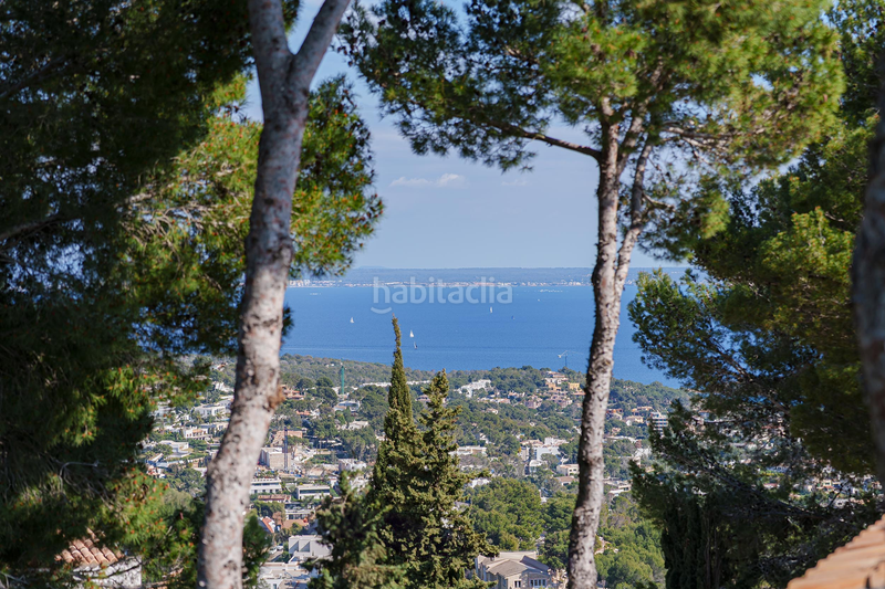 Foto 5c96e388-1bca-4aa5-b909-5e16392d1575. Casa villa con vistas al mar en costa den blanes en Calvià