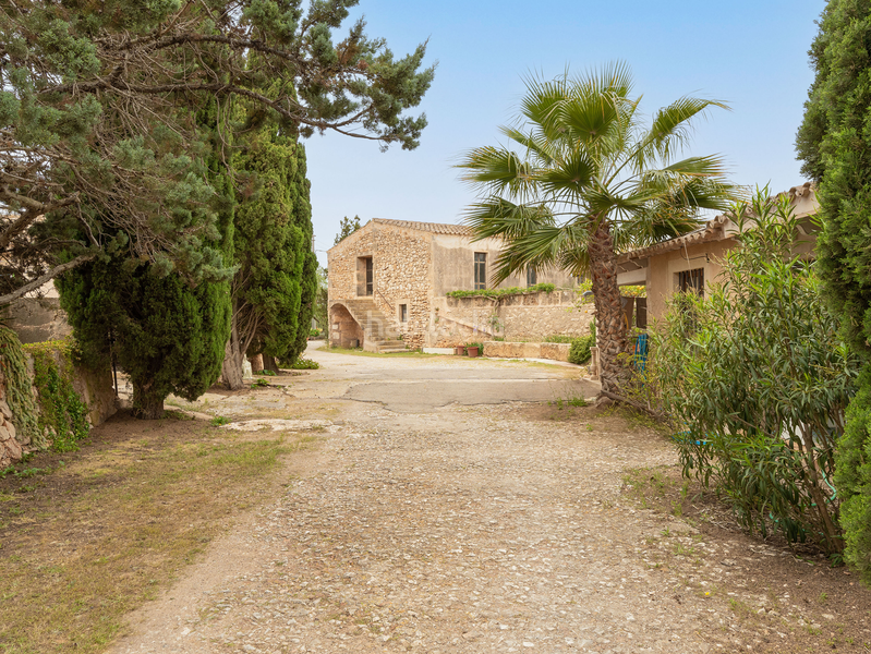 Foto ab3c2c88-8a7b-40e1-b3cc-5155d97fd070. Casa amb aparcament a Santanyí poble Santanyí