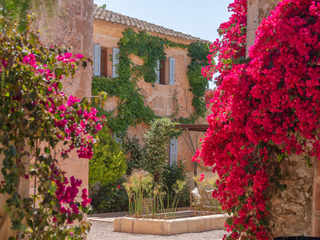 Masia en Llucmajor Interior. Historia y naturaleza en perfecta armona