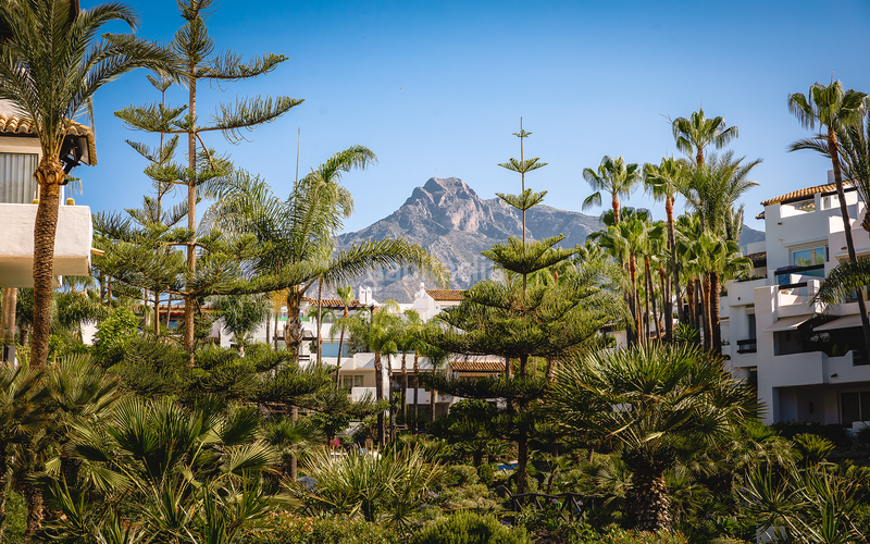 Foto f150e599-34f3-4d59-a8ad-629512086d3b. Appartement avec chauffage parking piscine dans Puente Romano Marbella