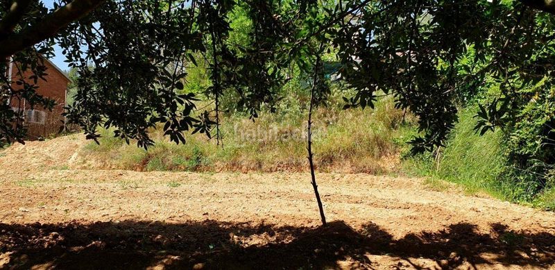 Foto 9b1c0009-1844-4f71-9aa1-606b64967575. Terreny residencial a Castellnou-Can Mir-Can Solà Rubí