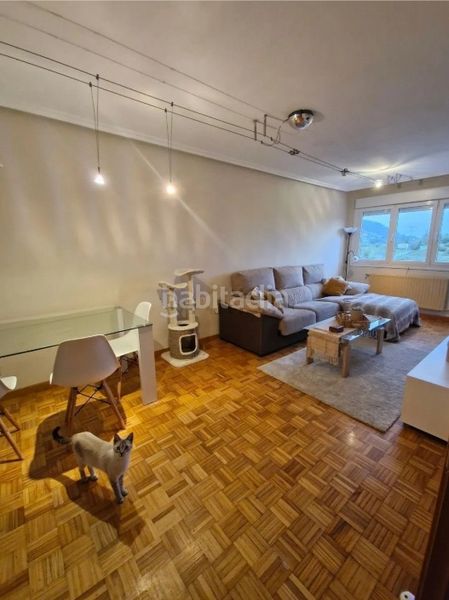 Foto dc89e385-cfce-4175-b569-f4b0e6876c1c. Pis a avenida de pando 47 a Huca - La Cadellada Oviedo