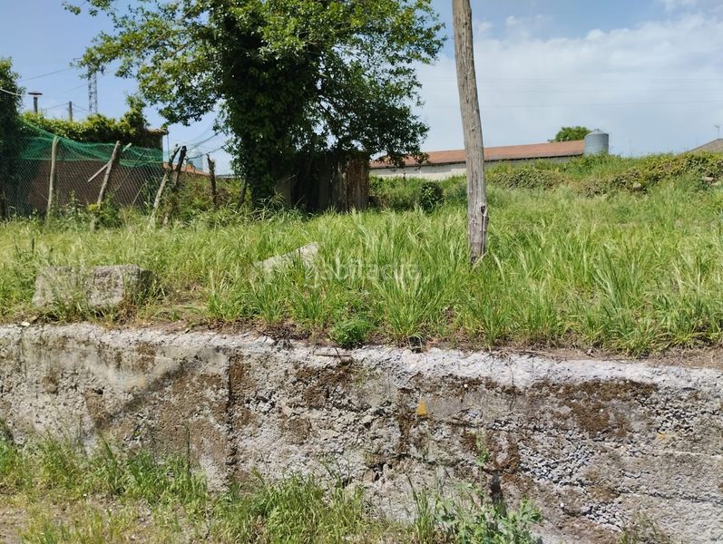 Foto f7c02b29-202f-4bce-b338-26e89bcbfe5c. Masia a n/a a Tineo