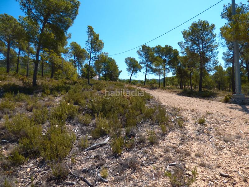 Foto 97e05c56-023a-4524-b7ce-f969e6a008d5. Finca rústica a Onil