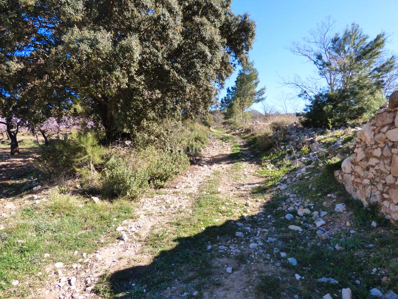 Foto 0bed67ab-8c24-43c9-874d-784d8ba50d48. Landgut in Ibi