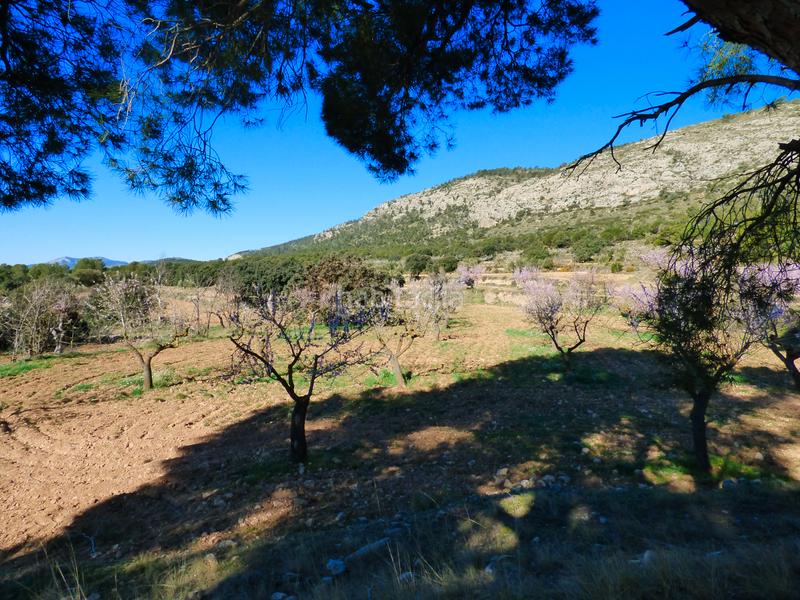 Foto 49e9ddd1-ba27-4644-ab7f-501d57e1e5e0. Landgut in Ibi