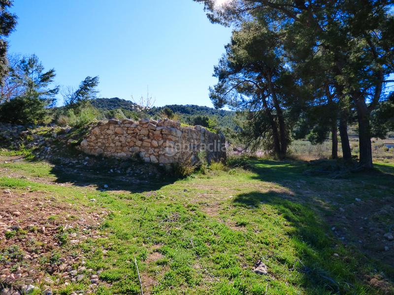 Foto 55c16256-2838-4aab-9303-f8f1a0b0dd4d. Landgut in Ibi