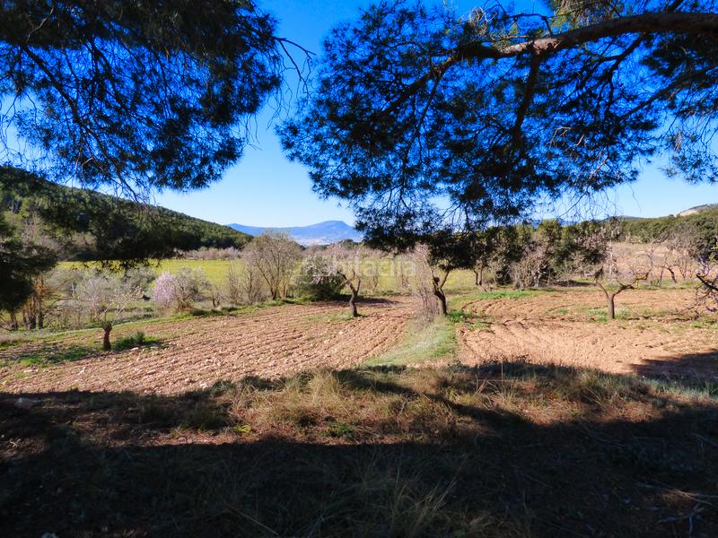 Foto 6d3b5333-7e03-4a1c-a834-3b507644b7c2. Landgut in Ibi