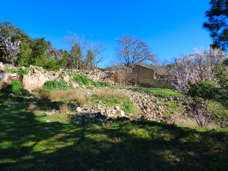 Foto c9bf904e-e075-4a85-a184-ec2aeaa040ca. Landgut in Ibi