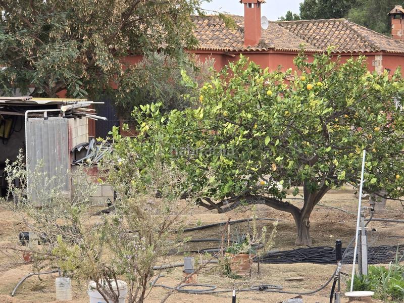 Foto 6a8a8048-e1bd-4c42-a6bb-48681e8e1736. Casa a Crevillente