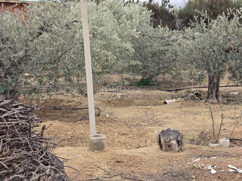 Foto dfde1164-d5ab-4df4-82c3-e4b504d79712. Casa a Crevillente