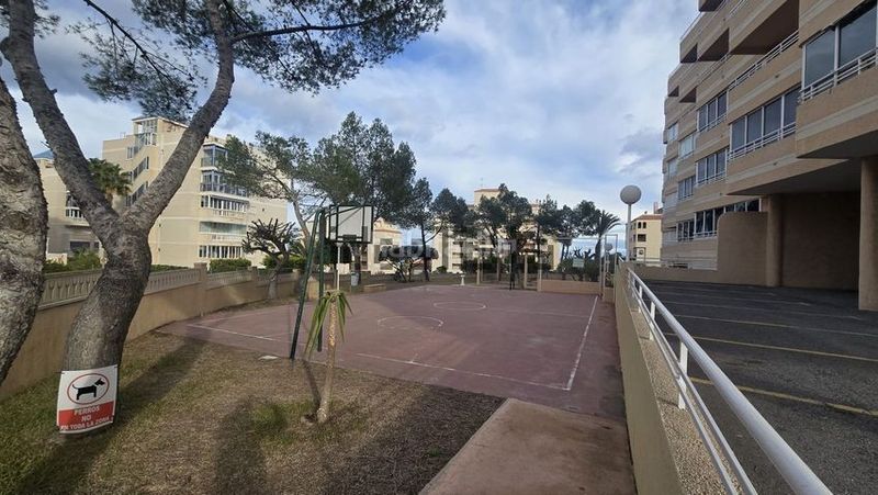 Foto 69cbd4b7-d630-4263-a0f5-8ad2c4f309fe. Casa amb aparcament piscina a Los Arenales del Sol Elche / Elx