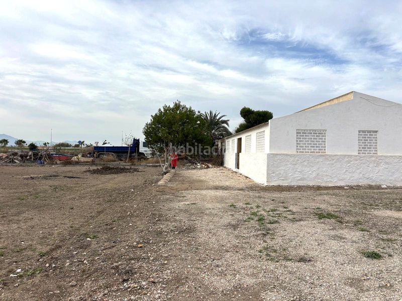 Foto 313682cb-ddee-4757-adba-85f7e6a8ac00. Masia a Crevillente