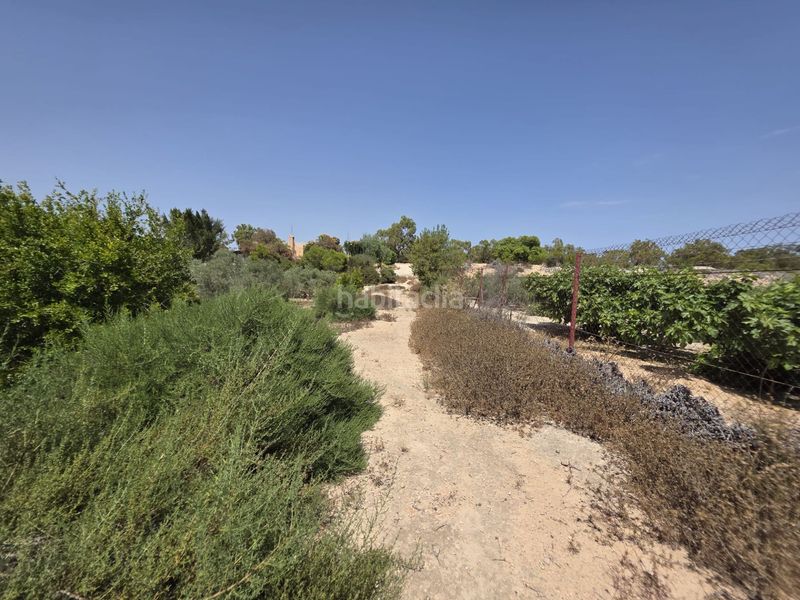 Foto 1d36f685-92cf-4579-872c-007a97a89077. Finca rústica a El Altet Elche / Elx