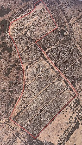 Foto 3503f07f-9030-4a24-a31b-44ebc61e0d13. Finca rústica a El Altet Elche / Elx