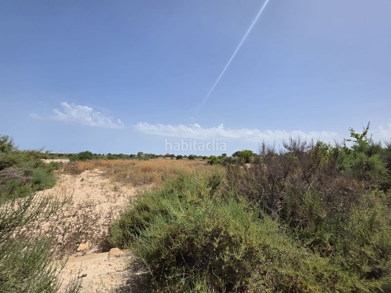 Foto f180fdd2-5383-4b7c-8b03-1f359ee33e0f. Finca rústica a El Altet Elche / Elx