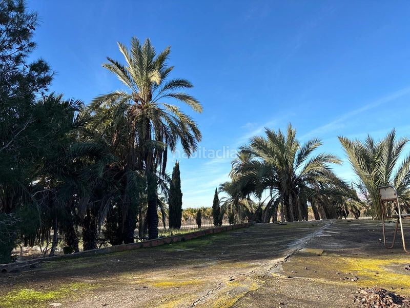 Foto 06429e57-c7a0-4b80-9022-d7a422fccd60. Finca rústica a La Algoda - Matola - Llano de San José Elche / Elx
