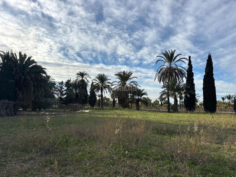 Foto 4187210a-34f7-47e8-9b40-c26fa4c24434. Finca rústica a La Algoda - Matola - Llano de San José Elche / Elx