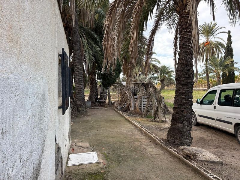 Foto a340fcc6-aaf5-4d8d-b4d6-f21733d9a7b8. Finca rústica a La Algoda - Matola - Llano de San José Elche / Elx