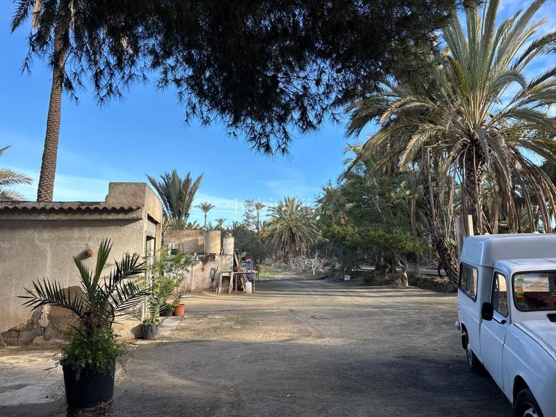Foto acc9e960-42d6-4c0f-8329-548e0832f2e5. Finca rústica a La Algoda - Matola - Llano de San José Elche / Elx