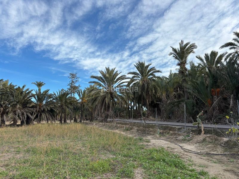 Foto d018d644-46d4-4fb7-8be6-d7e54fa72590. Finca rústica a La Algoda - Matola - Llano de San José Elche / Elx