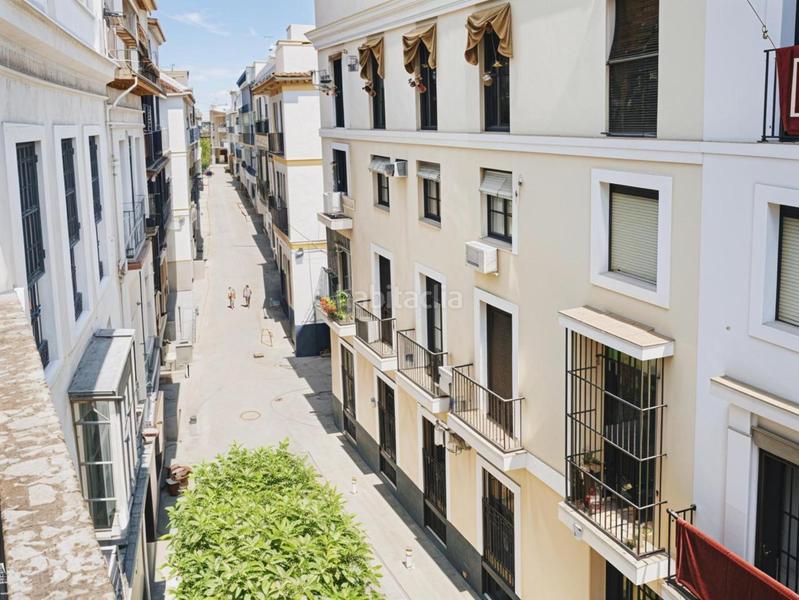 Foto 001b6042-5857-47cc-add4-8de4f1cdb139. Casa  palacio en el centro en Arenal - Museo Sevilla