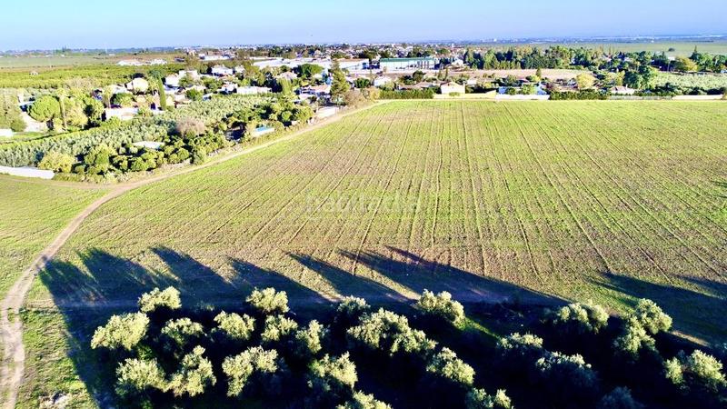 Foto 6c8c2763-4a2e-429b-98a1-0537f5970b98. Casa pareada chalet pareado en Loreto Espartinas