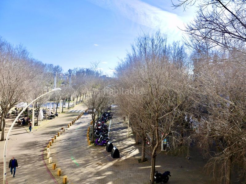 Foto 44327fe8-99ce-4235-912c-9326639607d1. Pis a San Gil Sevilla