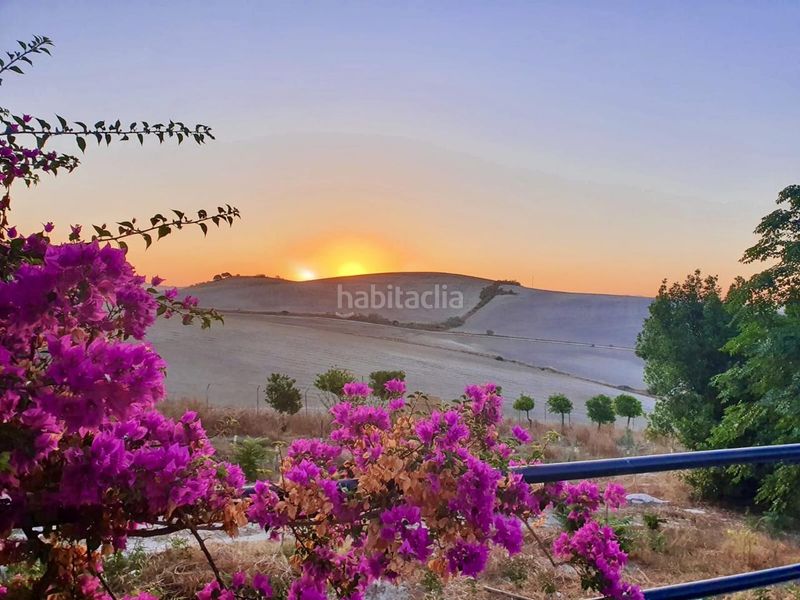 Foto 177c5588-887b-47b7-8ab0-102bf1eee5eb. Masia amb aparcament piscina a Morón de la Frontera