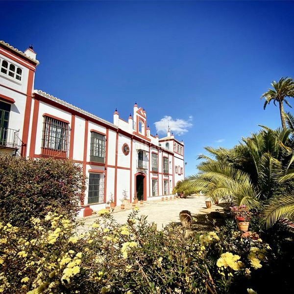 Foto 2118f063-4c65-41d0-9a28-ababb8ffb56d. Masia amb aparcament piscina a Morón de la Frontera