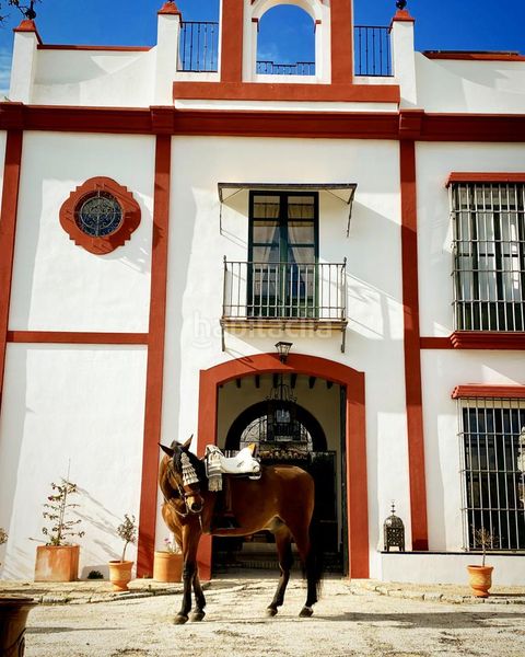 Foto 3baee14a-8f4c-482d-8038-a5fa45bc80dc. Masia amb aparcament piscina a Morón de la Frontera