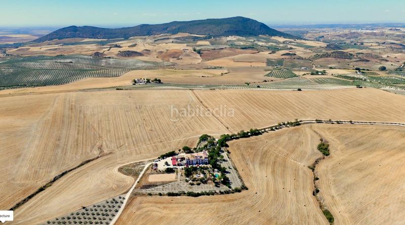 Foto 7ff19ab1-20c4-40de-ad65-f652016724a7. Masia amb aparcament piscina a Morón de la Frontera