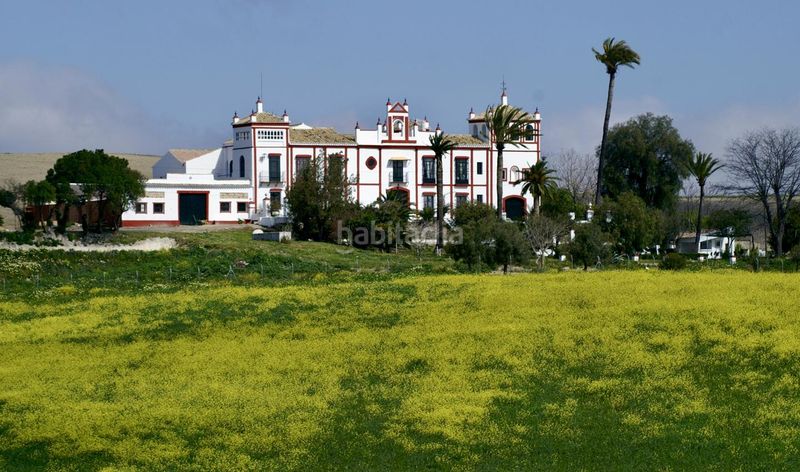 Foto 901380d0-dc2b-4498-aa90-80de60e6644a. Masia amb aparcament piscina a Morón de la Frontera