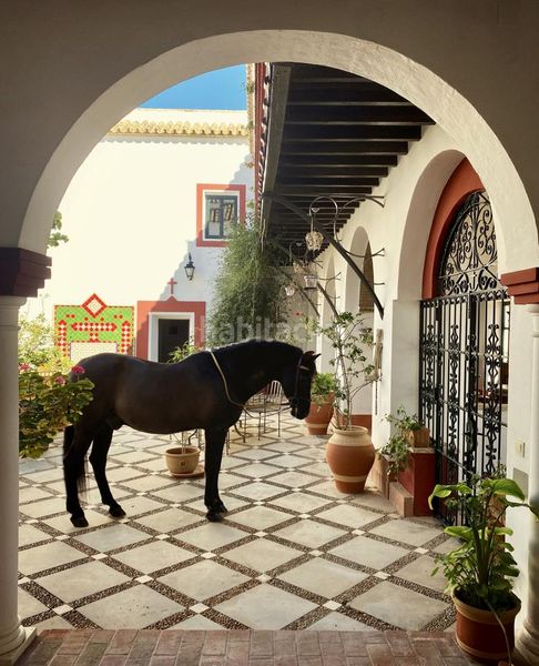 Foto 95741b4f-1d91-4257-8c3c-70f5c2748755. Masia amb aparcament piscina a Morón de la Frontera