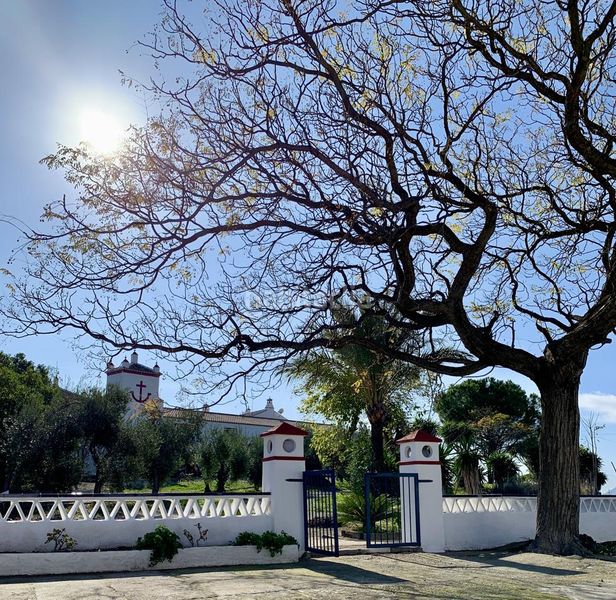 Foto b1c1b09b-c1c4-46d9-8cd7-e49bf843b79a. Masia amb aparcament piscina a Morón de la Frontera