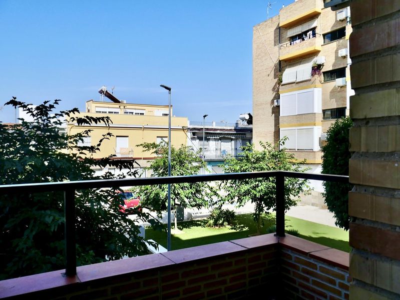 Foto a9aa0010-312a-482e-bef9-2e003b16a763. Pis a Rinconada (La)