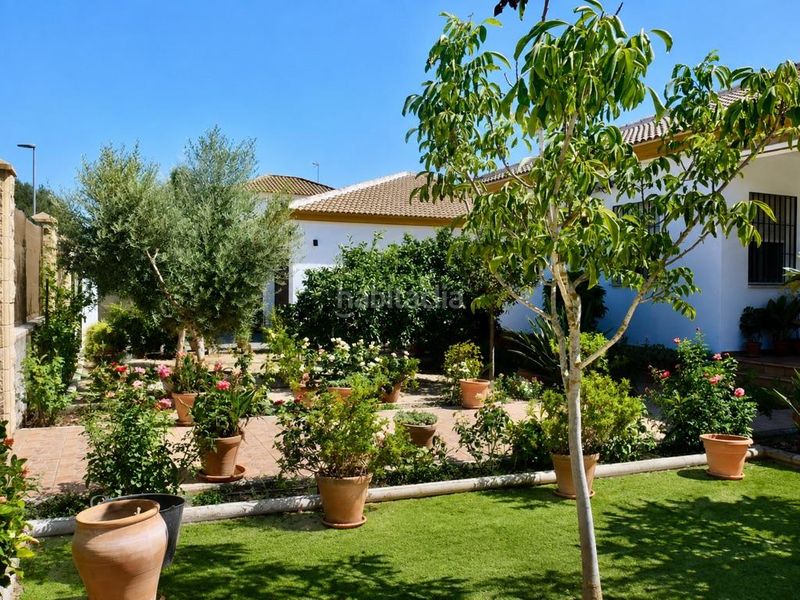 Foto 6b7edb9f-fbff-4cd0-9651-0bbf453bf8bc. Casa amb aparcament piscina a Hinojos