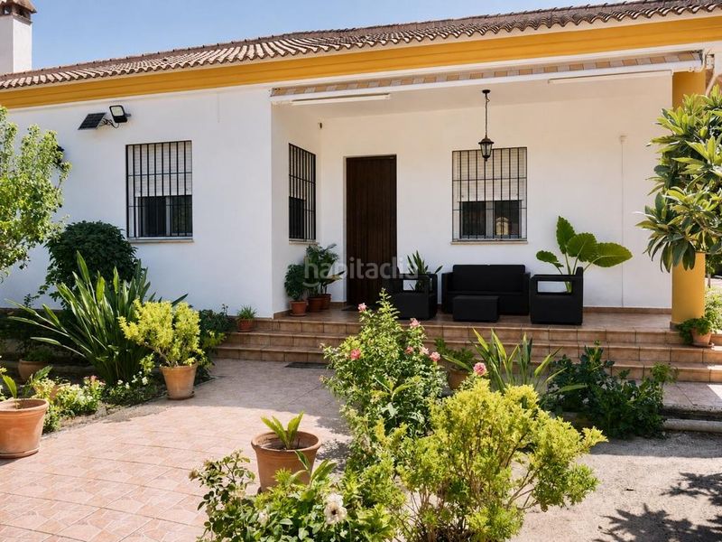 Foto 96e5902c-b52f-4d84-a365-8197ab0387a5. Casa amb aparcament piscina a Hinojos
