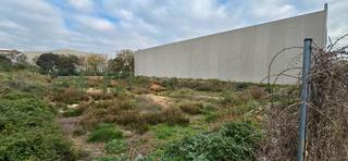 Solar industrial en Picassent