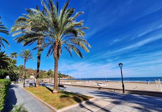 Appartement  Paseo pilar coloma 20. Primera linea de playa voramar