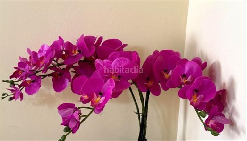 Foto 1905ca19-166a-47b0-8467-d46298165537. Appartement avec chauffage dans Font dels Capellans - Sagrada Familia Manresa