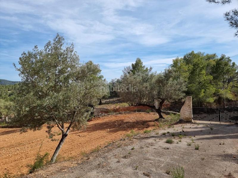 Foto 115ac782-f2ca-4162-9ebb-0da0c4cf5354. Masía descubre tu paraiso finca con encanto a la venta en Tortosa