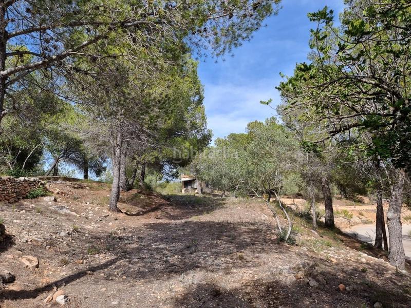 Foto 19e84932-0aa0-42a5-80e7-df3de905cb71. Masía descubre tu paraiso finca con encanto a la venta en Tortosa