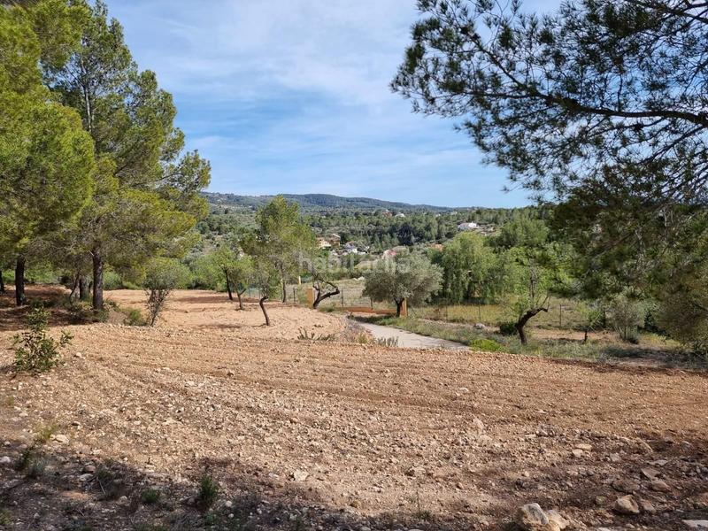 Foto 1ecdf443-47aa-44e3-8a22-5061d547d40b. Masía descubre tu paraiso finca con encanto a la venta en Tortosa
