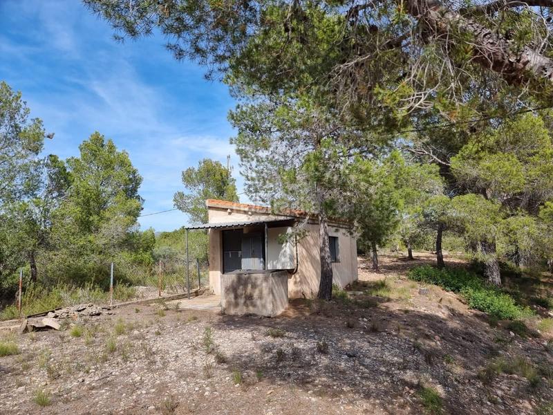 Foto 3428c20a-5b50-4dd3-870d-6bae746da349. Masía descubre tu paraiso finca con encanto a la venta en Tortosa