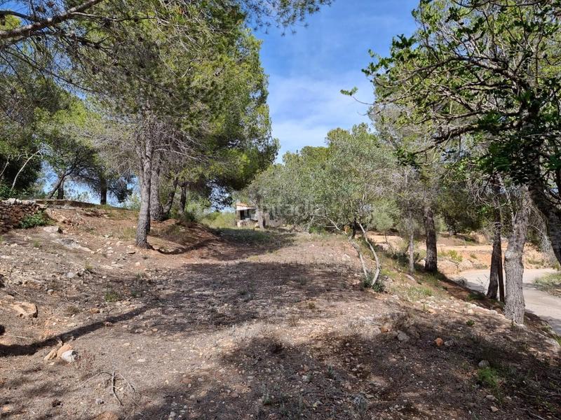 Foto 36e593ee-e6d2-49f7-9d7f-884d3bb60405. Masía descubre tu paraiso finca con encanto a la venta en Tortosa