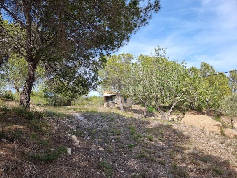 Foto 5a60ac1e-29a9-4e78-8cf2-c130b6d60a31. Masía descubre tu paraiso finca con encanto a la venta en Tortosa