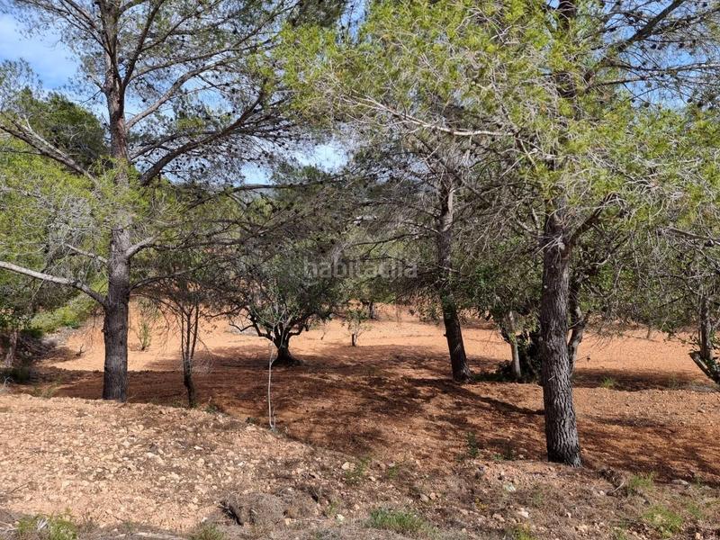 Foto 67bfb485-e9f1-4bb0-a933-fe1f7ba500c1. Masía descubre tu paraiso finca con encanto a la venta en Tortosa