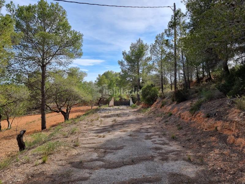 Foto 6ed29dad-f80f-4f01-b981-17baffe1204e. Masía descubre tu paraiso finca con encanto a la venta en Tortosa
