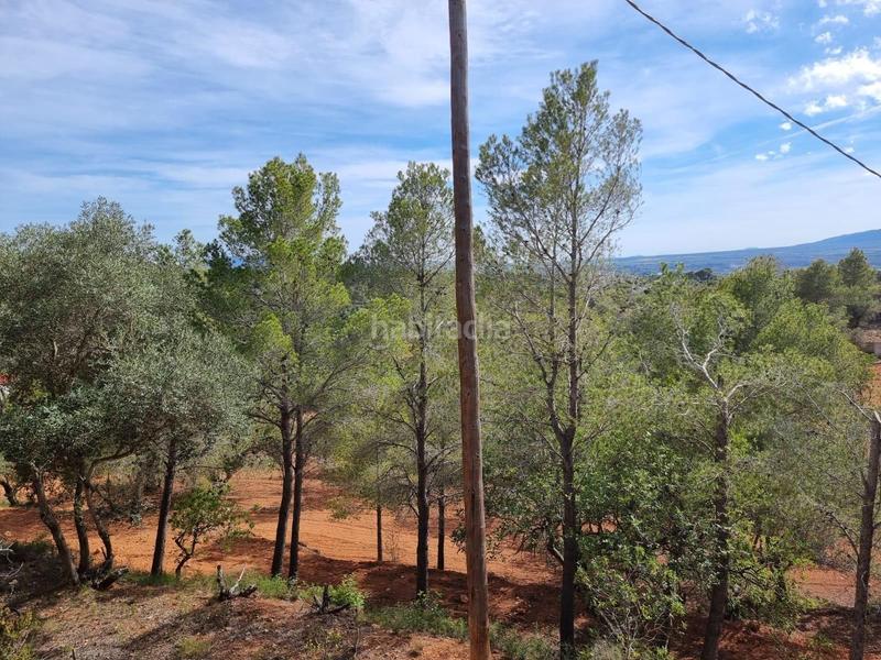Foto 8a8ae6d0-0942-4ace-b954-acd40341c79e. Masía descubre tu paraiso finca con encanto a la venta en Tortosa